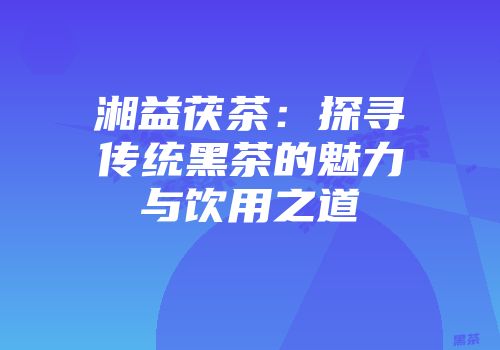 湘益茯茶：探寻传统黑茶的魅力与饮用之道
