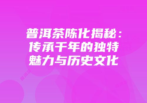 普洱茶陈化揭秘：传承千年的独特魅力与历史文化