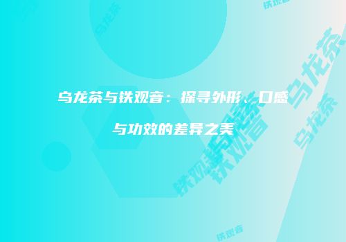 乌龙茶与铁观音：探寻外形、口感与功效的差异之美