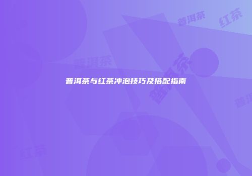 普洱茶与红茶冲泡技巧及搭配指南