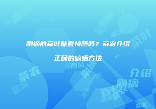 刚摘的茶叶能直接晒吗？茶农介绍正确的晾晒方法