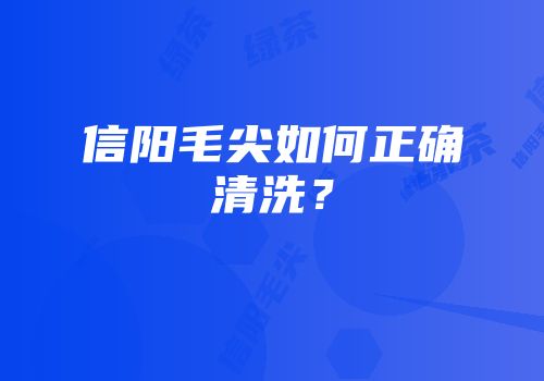信阳毛尖如何正确清洗？