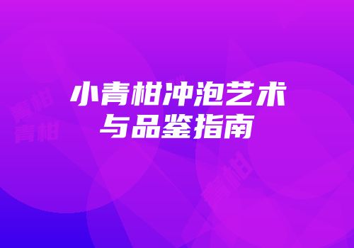 小青柑冲泡艺术与品鉴指南