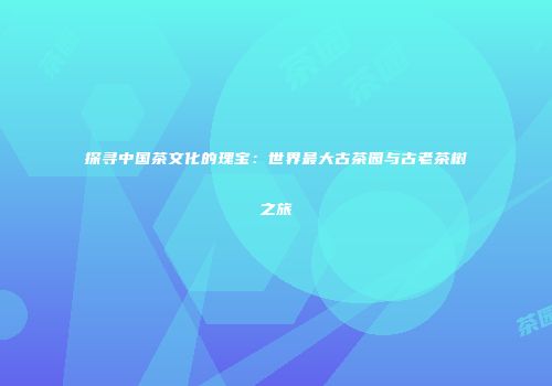 探寻中国茶文化的瑰宝：世界最大古茶园与古老茶树之旅