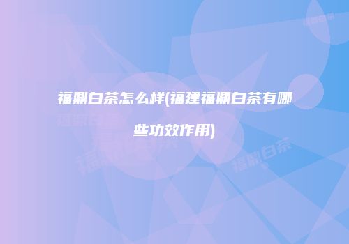 福鼎白茶怎么样(福建福鼎白茶有哪些功效作用)