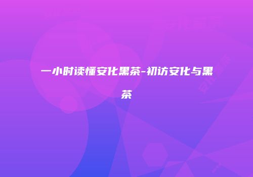 一小时读懂安化黑茶-初访安化与黑茶
