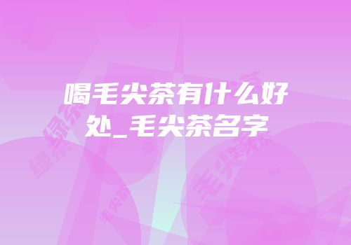 喝毛尖茶有什么好处_毛尖茶名字