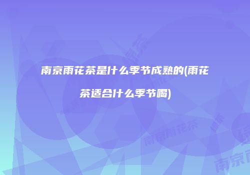 南京雨花茶是什么季节成熟的(雨花茶适合什么季节喝)