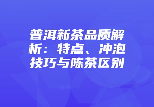 普洱新茶品质解析：特点、冲泡技巧与陈茶区别