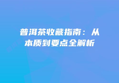 普洱茶收藏指南：从本质到要点全解析