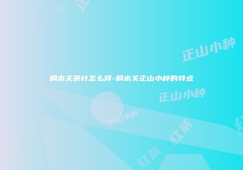 桐木关茶叶怎么样-桐木关正山小种的特点