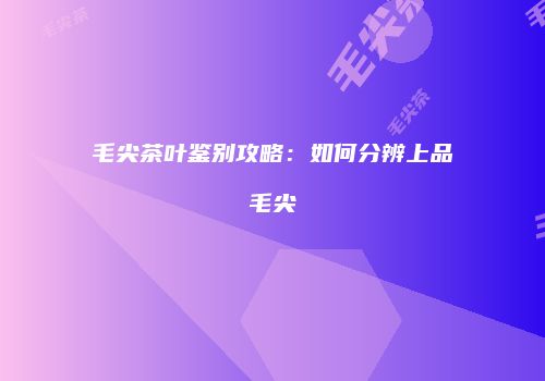 毛尖茶叶鉴别攻略：如何分辨上品毛尖