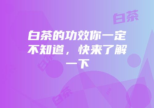 白茶的功效你一定不知道，快来了解一下
