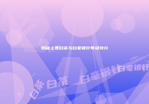 揭秘上等白茶与白毫银针等级划分