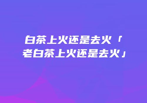 白茶上火还是去火「老白茶上火还是去火」