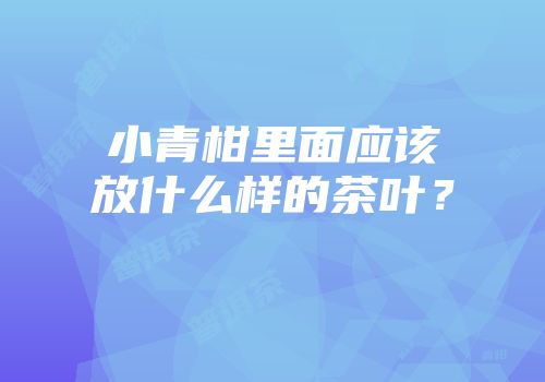 小青柑里面应该放什么样的茶叶？