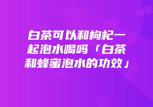 白茶可以和枸杞一起泡水喝吗「白茶和蜂蜜泡水的功效」