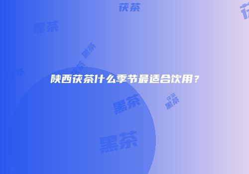陕西茯茶什么季节最适合饮用？
