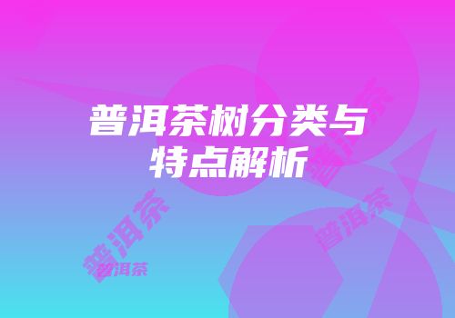 普洱茶树分类与特点解析