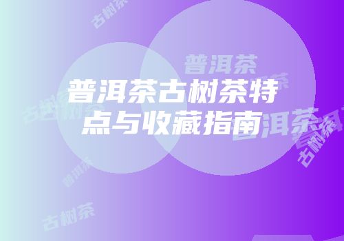 普洱茶古树茶特点与收藏指南
