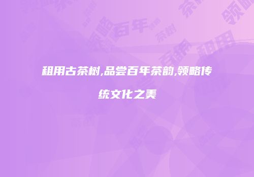 租用古茶树,品尝百年茶韵,领略传统文化之美