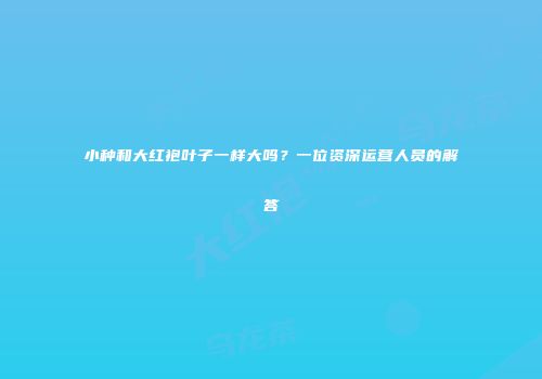 小种和大红袍叶子一样大吗？一位资深运营人员的解答