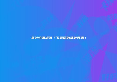 茶叶怕潮湿吗「下雨后的茶叶好吗」
