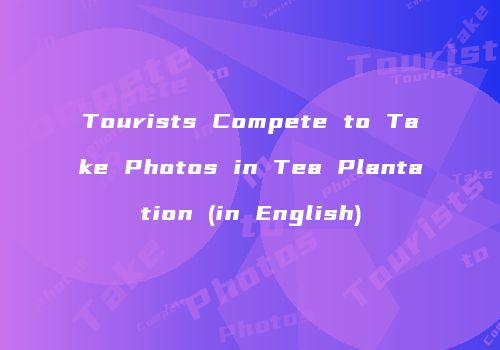 Tourists Compete to Take Photos in Tea Plantation (in English)