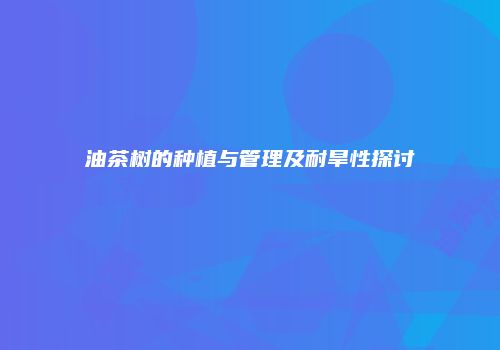 油茶树的种植与管理及耐旱性探讨