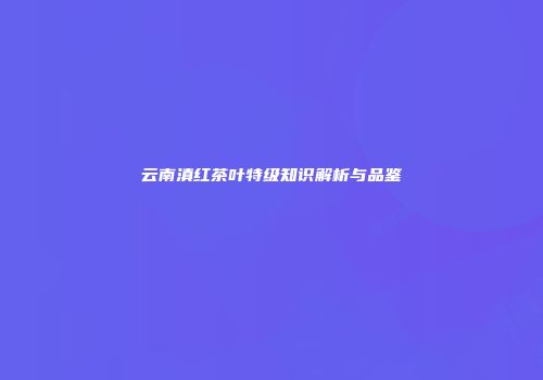 云南滇红茶叶特级知识解析与品鉴