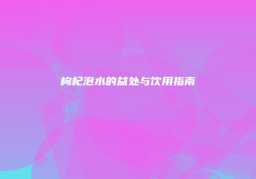 枸杞泡水的益处与饮用指南