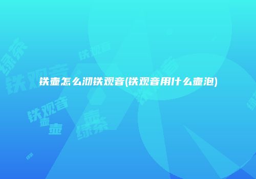 铁壶怎么沏铁观音(铁观音用什么壶泡)