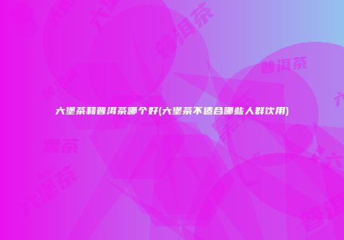 六堡茶和普洱茶哪个好(六堡茶不适合哪些人群饮用)