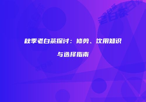 秋季老白茶探讨：修剪、饮用知识与选择指南