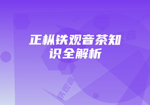 正枞铁观音茶知识全解析