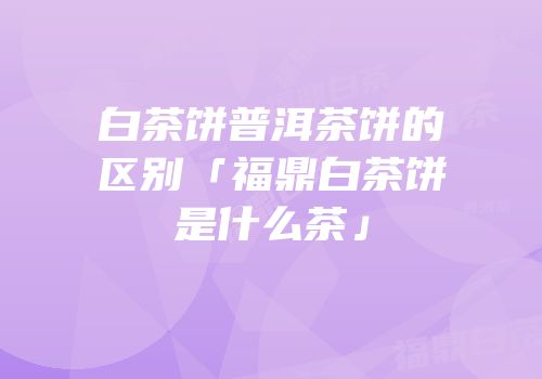 白茶饼普洱茶饼的区别「福鼎白茶饼是什么茶」
