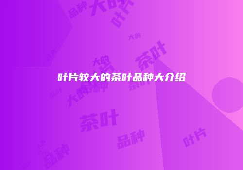 叶片较大的茶叶品种大介绍