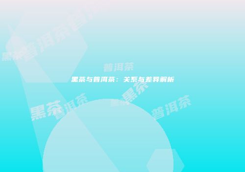黑茶与普洱茶：关系与差异解析