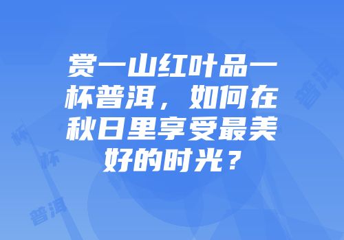 赏一山红叶品一杯普洱，如何在秋日里享受最美好的时光？