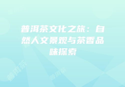 普洱茶文化之旅：自然人文景观与茶香品味探索