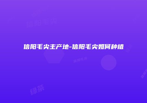 信阳毛尖主产地-信阳毛尖如何种植