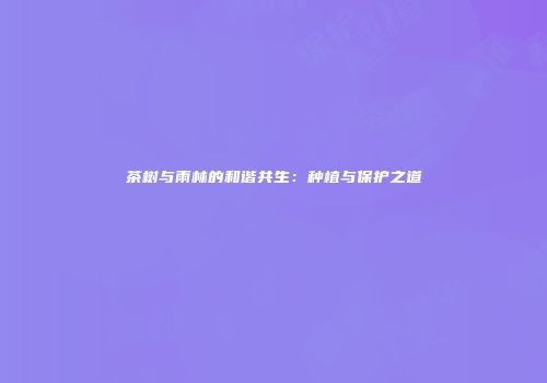 茶树与雨林的和谐共生：种植与保护之道