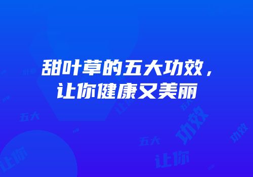 甜叶草的五大功效，让你健康又美丽