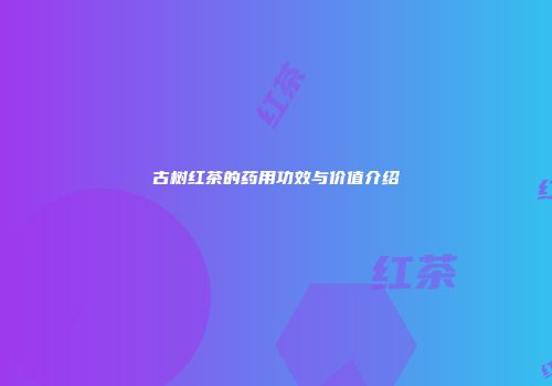 古树红茶的药用功效与价值介绍