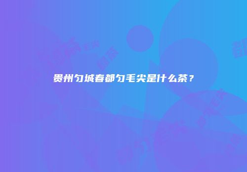 贵州匀城春都匀毛尖是什么茶？