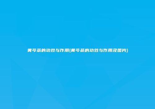 黄芩茶的功效与作用(黄芩茶的功效与作用及图片)
