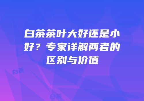 白茶茶叶大好还是小好？专家详解两者的区别与价值
