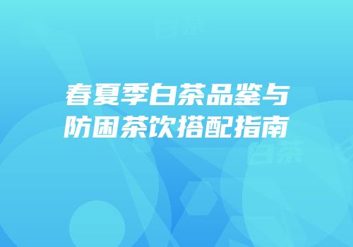 春夏季白茶品鉴与防困茶饮搭配指南