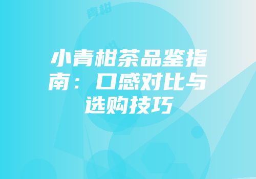 小青柑茶品鉴指南：口感对比与选购技巧