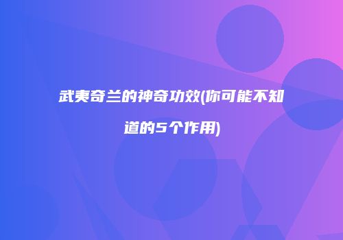 武夷奇兰的神奇功效(你可能不知道的5个作用)